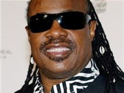 Bóng đá anh, ngoại hạng anh, lịch thi đấu euro 2012, Stevie Wonder đấu giá đàn piano làm từ thiện